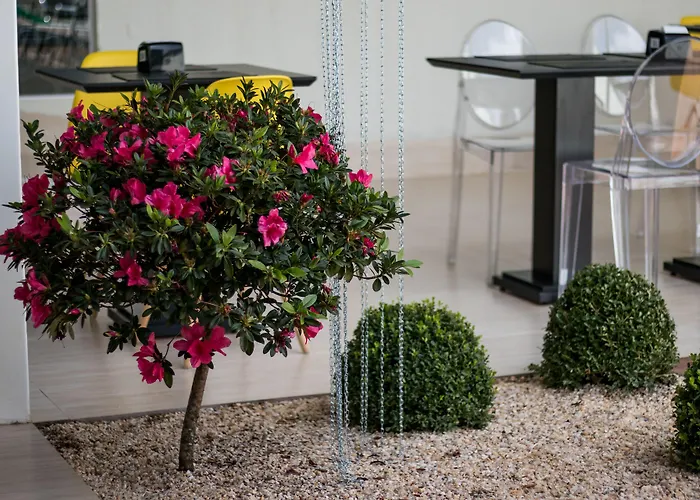 Allegro Hotel Goiânia